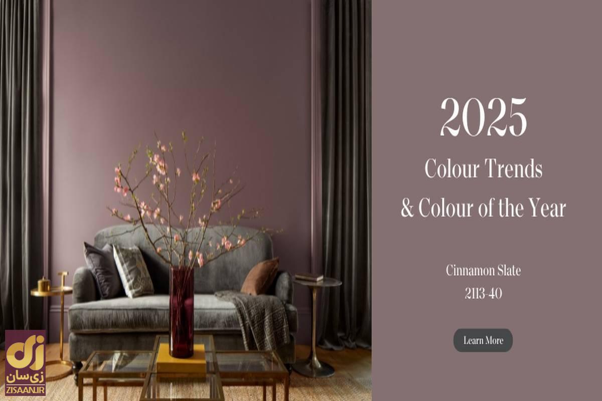 رنگ سال ۲۰۲۵ چه رنگی است؟ رنگ فوق زیبایی که «پنتون» برای سال 2025 برگزید