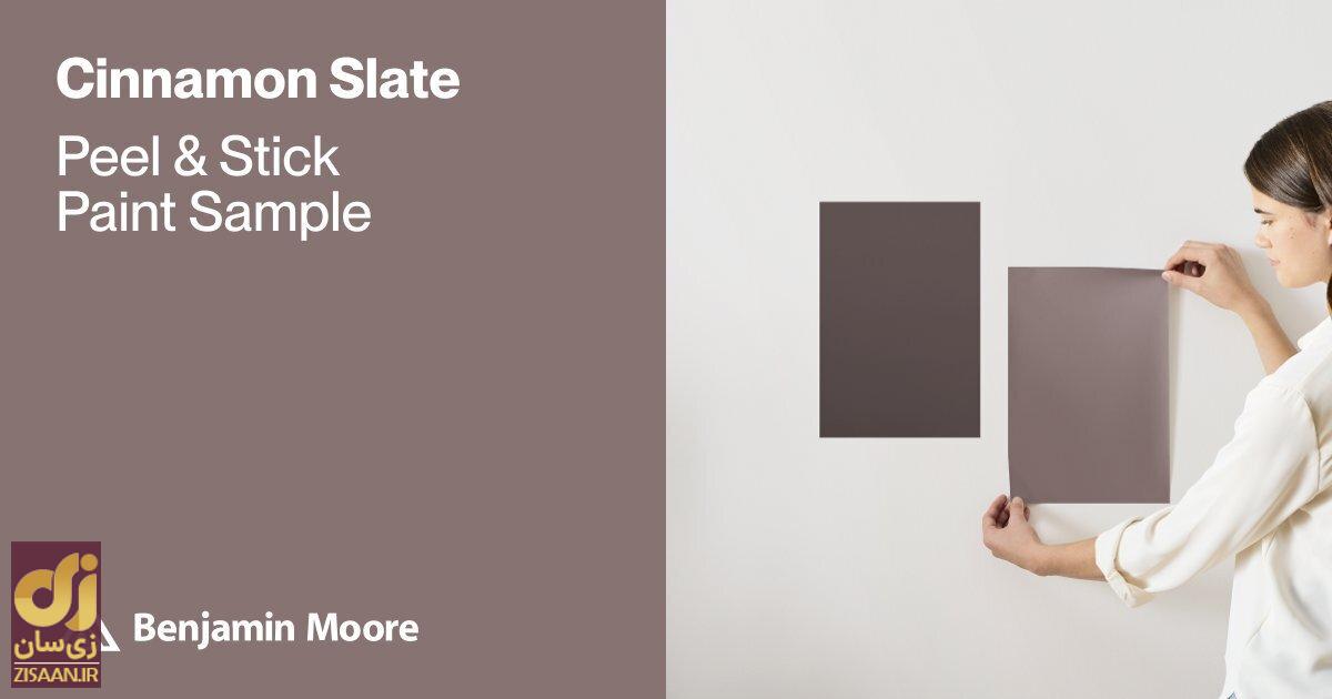 رنگ سال ۲۰۲۵ چه رنگی است؟ رنگ فوق زیبایی که «پنتون» برای سال 2025 برگزید