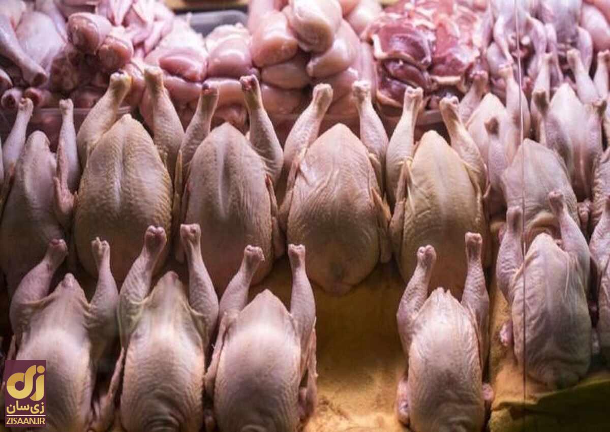 قیمت گوشت مرغ امروز شنبه ۷ مهر ۱۴۰۳
