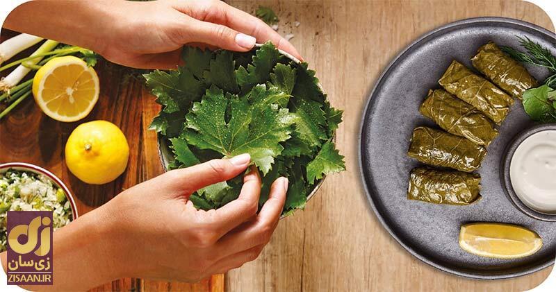 خواص برگ مو چیست؟ | از کنترل قند خون تا درمان آرتروز خواص برگ مو چیست؟ | از کنترل قند خون تا درمان آرتروز