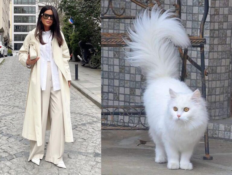 چگونه استایل خود را با حیوان خانگی‌تان ست کنید؟