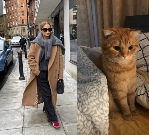 چگونه استایل خود را با حیوان خانگی‌تان ست کنید؟