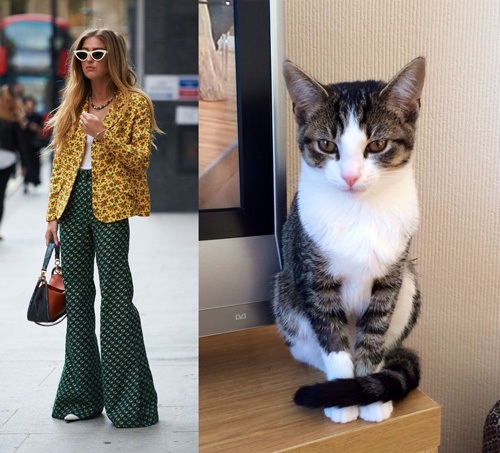 چگونه استایل خود را با حیوان خانگی‌تان ست کنید؟