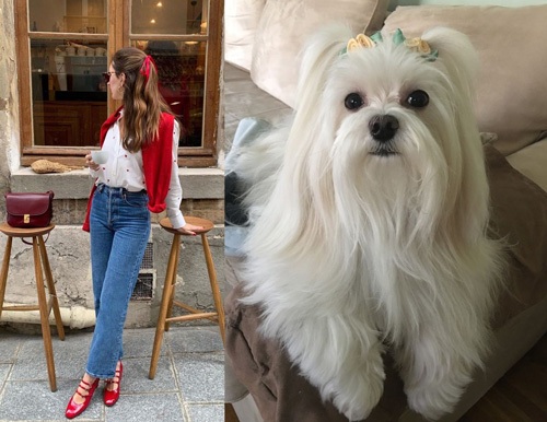 چگونه استایل خود را با حیوان خانگی‌تان ست کنید؟