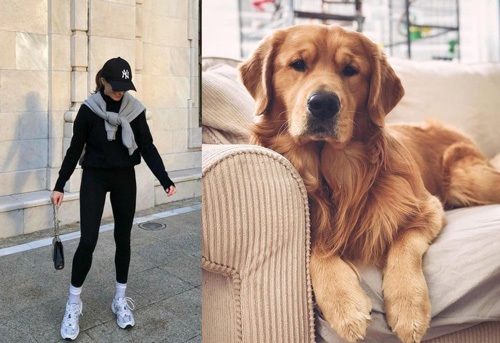 چگونه استایل خود را با حیوان خانگی‌تان ست کنید؟