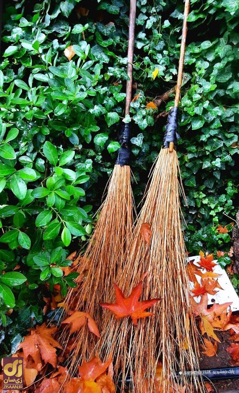 تصاویر | عکس‌هایی دیدنی از پارک جمشیدیه تهران در پاییز ۱۴۰۳