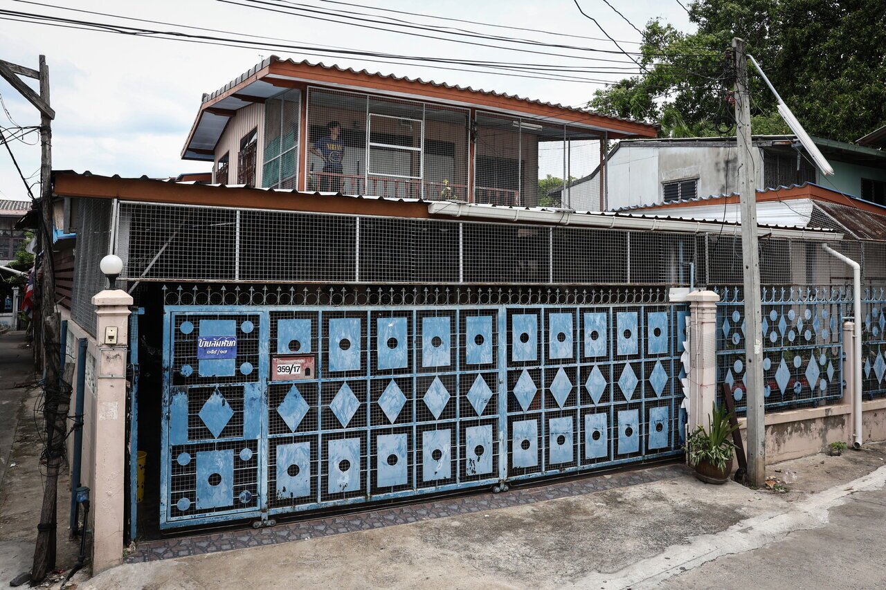 (تصاویر) میمون‌ها پاسگاه پلیس را فتح کردند