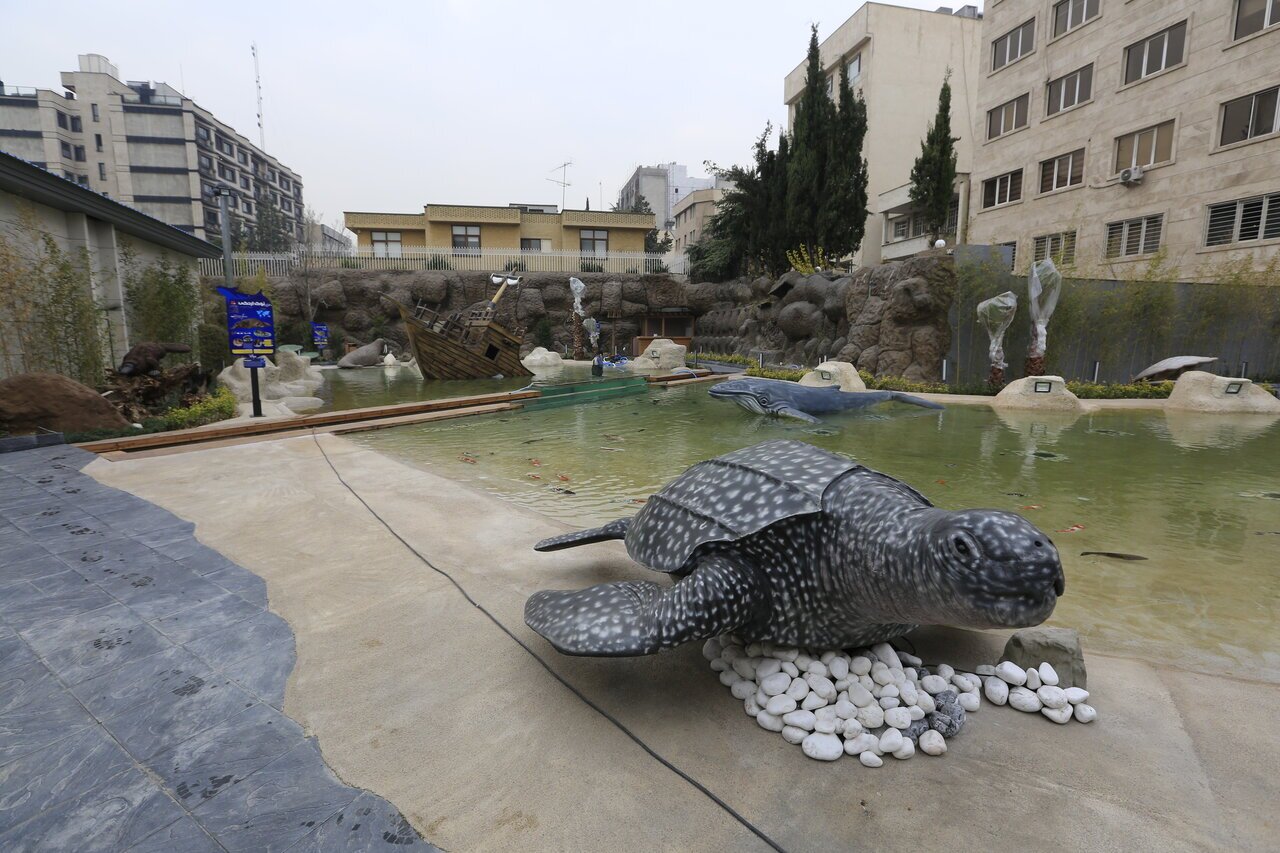 (تصاویر) حیوانات غول پیکر دریایی در تپه‌های عباس آباد