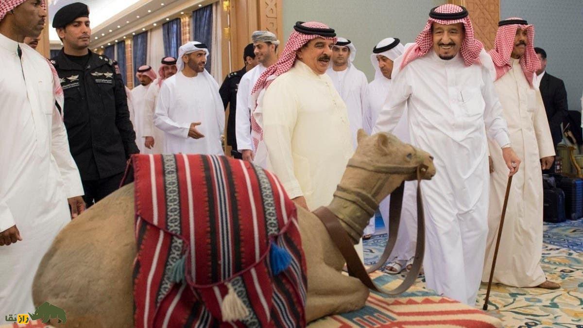 حیوان مورد علاقه محمد بن سلمان عاشق چیست؟