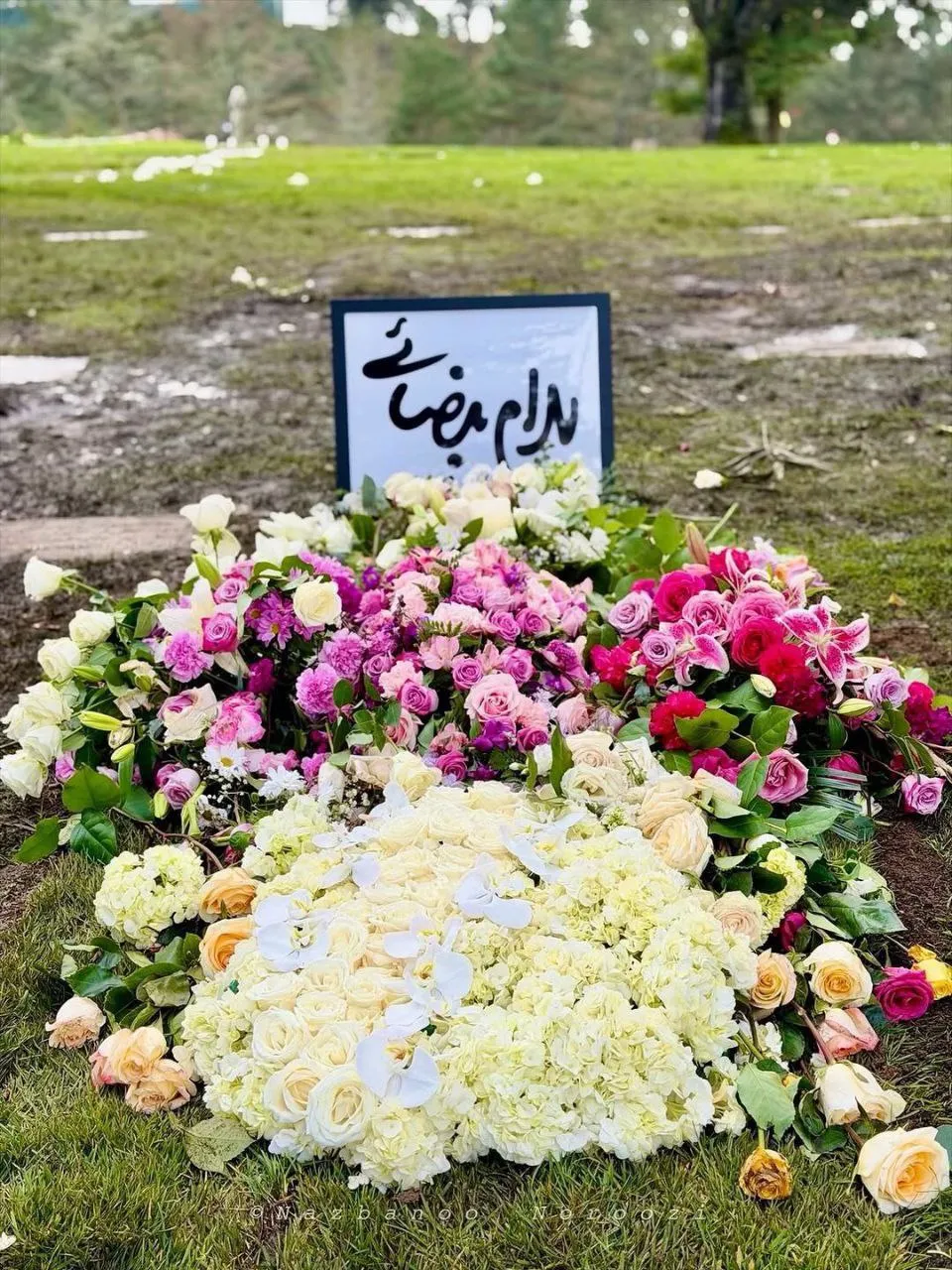 بهرام بیضایی