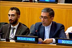 نماینده ایران در نشست شورای امنیت سازمان ملل: گروه‌های مسلح اعتراضات را ربودند