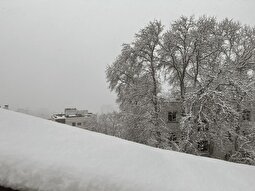 بارش‌های سنگین در پایتخت/ شهرداری منطقه یک: تا ۲۰ سانتی‌متر برف باریده است / آماده‌باش کامل نیرو‌ها در تهران