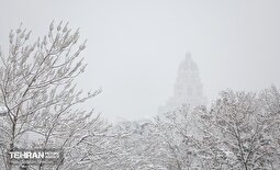 (تصاویر) شدت بارش برف در پارک ملت تهران امروز ۳۰ دی ۱۴۰۴