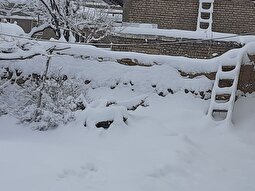 (عکس) حجم باورنکردنی برف حیاط یک خانه در این شهر را ببینید