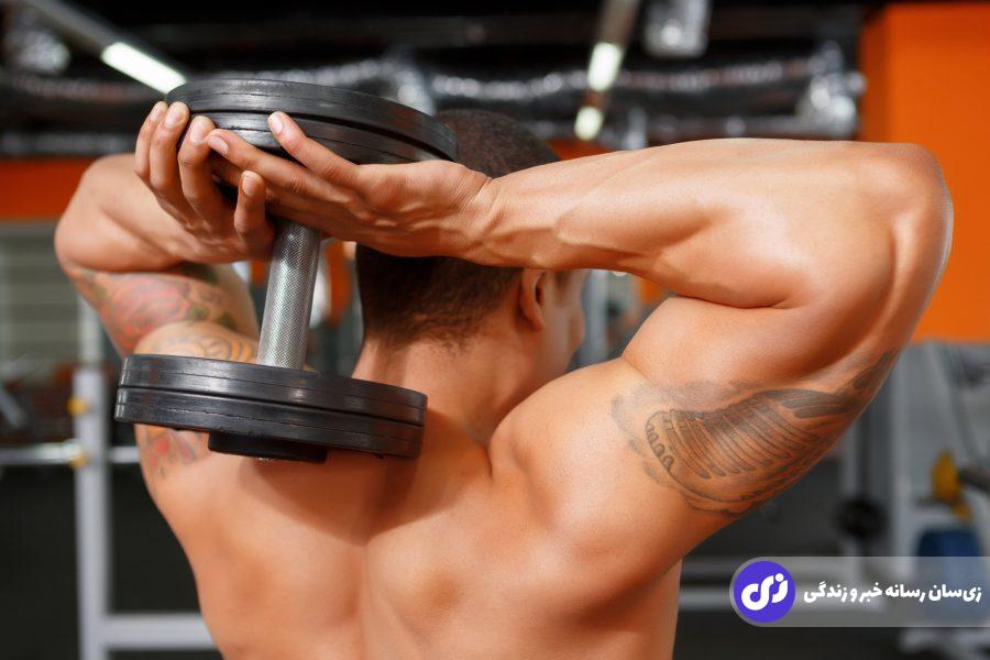 بهترین تمرین پشت بازو؛ چگونه پشتبازوهای زیبا و عضلانی بسازیم بهترین تمرین پشت بازو؛ چگونه پشتبازوهای زیبا و عضلانی بسازیم