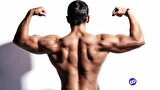 بهترین تمرین پشت بازو؛ چگونه پشت‌بازو‌های زیبا و عضلانی بسازیم