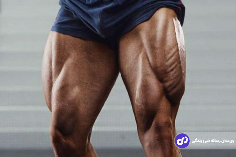 تمرینات پا؛ چگونه پا‌های زیبا و عضلانی بسازیم