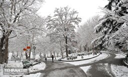 برای ۱۲ استان کشور هشدار صادر شد