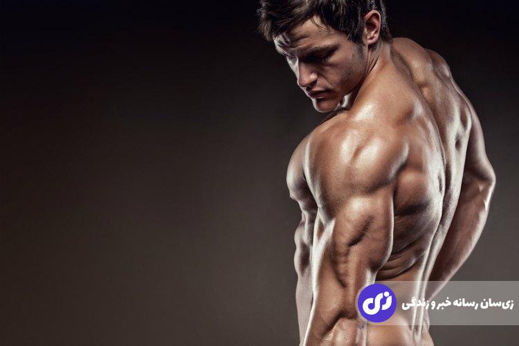 عضلات سرشانه