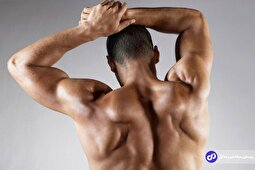 عضلات سرشانه؛ بهترین برنامه تمرینی برای رشد عضلات سرشانه یا دلتوئید که باید بدانید