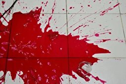 قتل هولناک زن به‌دست شوهر و خواهرشوهر‌ها