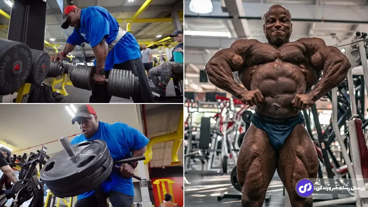 شان کلاریدا