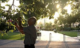 این شایعه خطرناک توت‌‎‌خوری مردم در بهار را کنسل کرد!