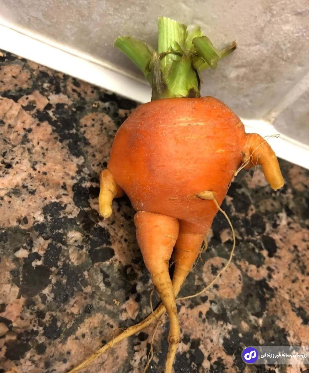 پست عجیب و جالبِ رضا عطاران در روز تولدش جلب‌توجه کرد!