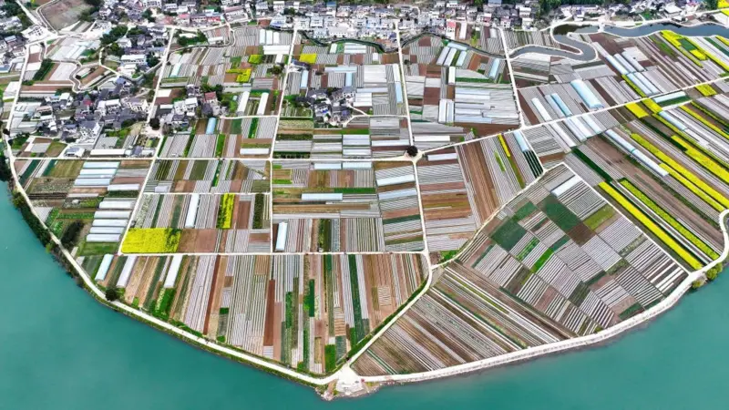 آیا گرانی بی‌سابقه مواد غذایی در راه است؟