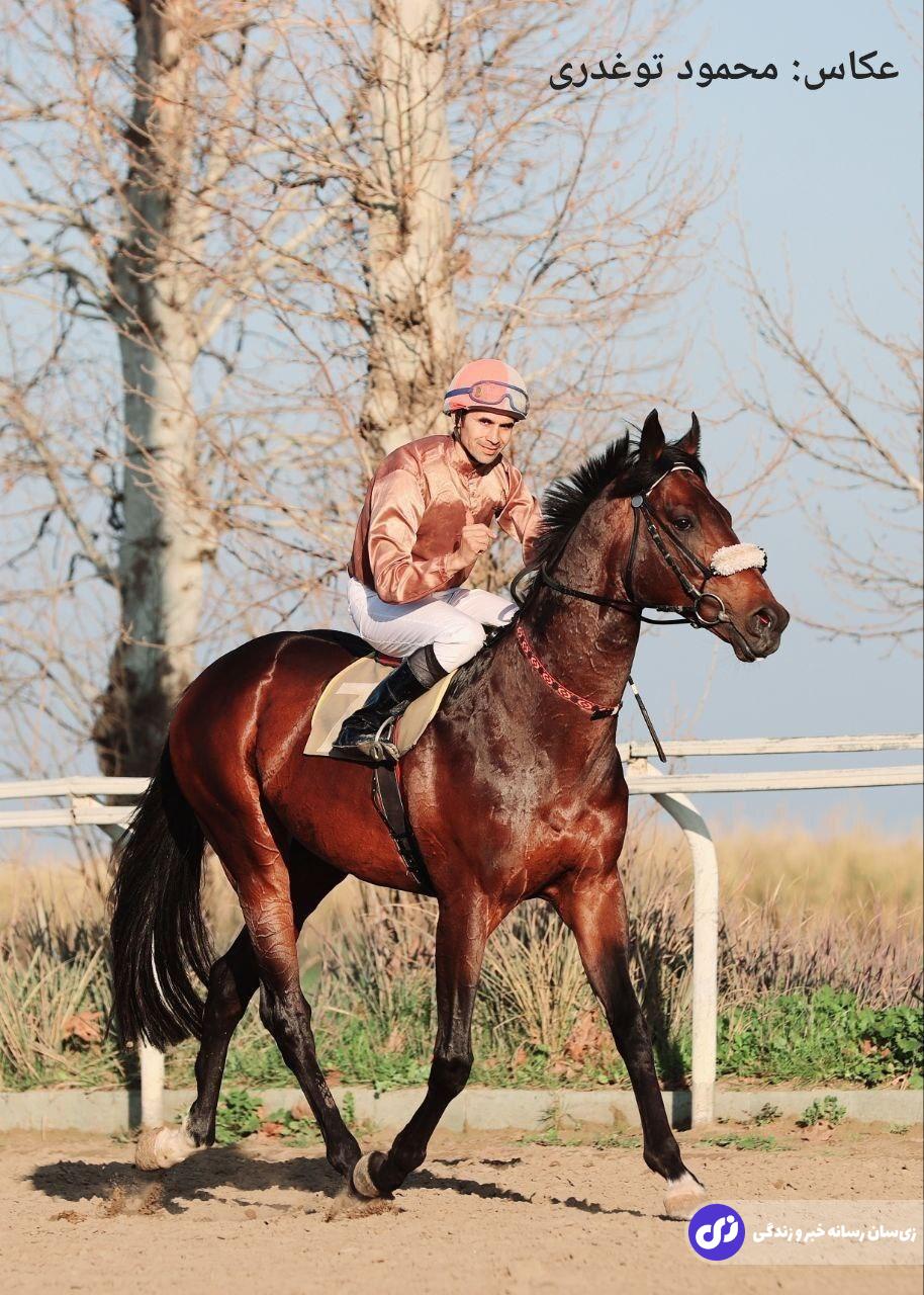 فیلم تلخ از فوت امین محمدی چابکسوار در مسابقه اسبدوانی بندر ترکمن فیلم تلخ از فوت امین محمدی چابکسوار در مسابقه اسبدوانی بندر ترکمن