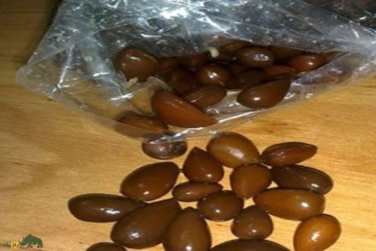 الوک یا بادام کوهی؛ متفاوتترین آجیل ایران که رایگان است و در افزایش میل جنسی و پروستات معجزه میکند! الوک یا بادام کوهی؛ متفاوتترین آجیل ایران که رایگان است و در افزایش میل جنسی و پروستات معجزه میکند!