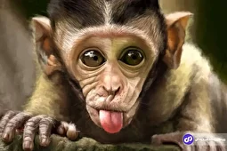 ویژگی‌های خوب و بد متولدین سال میمون؛ متولدین سال میمون با چه کسی ازدواج کنند و از چه کسانی دوری کنند؟