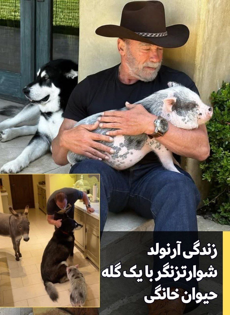 آرنولد شوارتزنگر