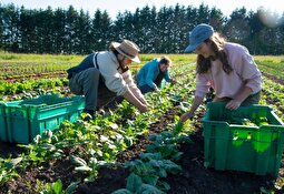 پرتقاضاترین شغل‌های پنج سال آینده کدام شغل‌ها هستند؟