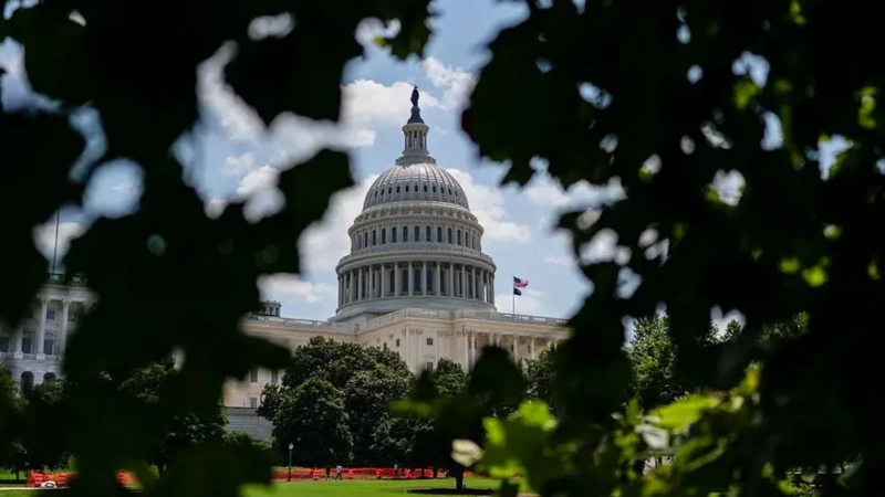 زنی که ممکن است «لایحه بزرگ و زیبای» ترامپ را وتو کند!