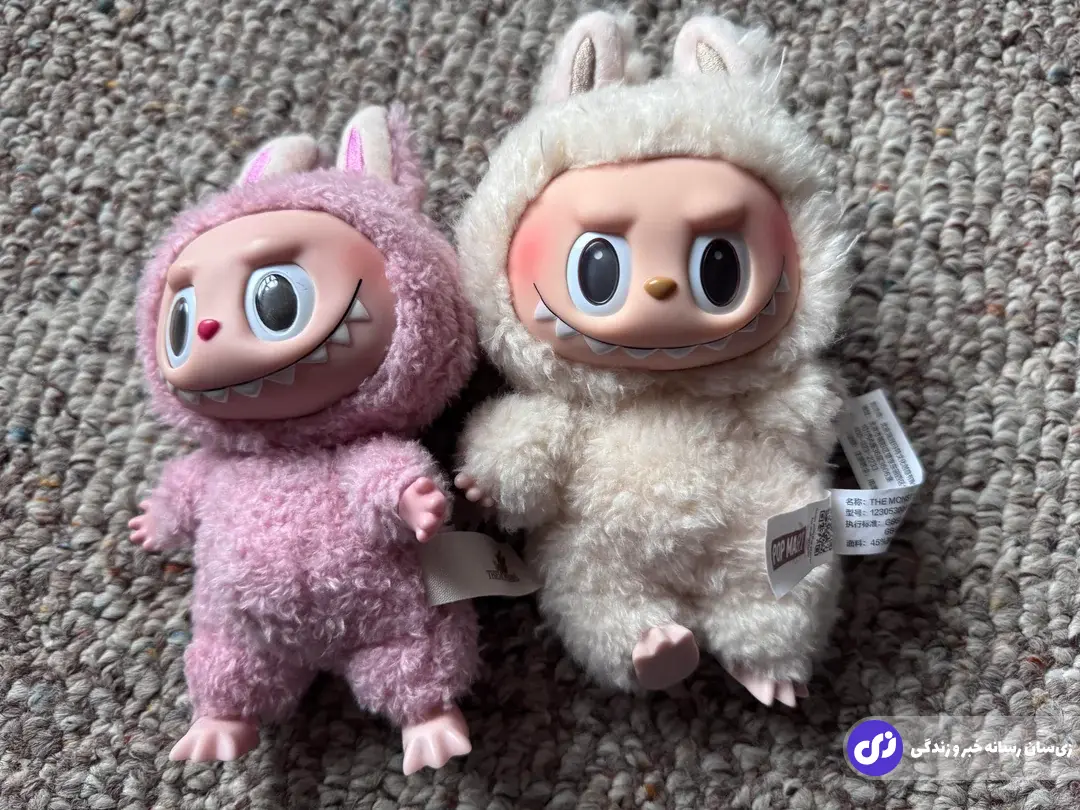 دزدان نقاب‌دار شبانه ۷ هزار دلار عروسک لبوبو را به سرقت بردند!