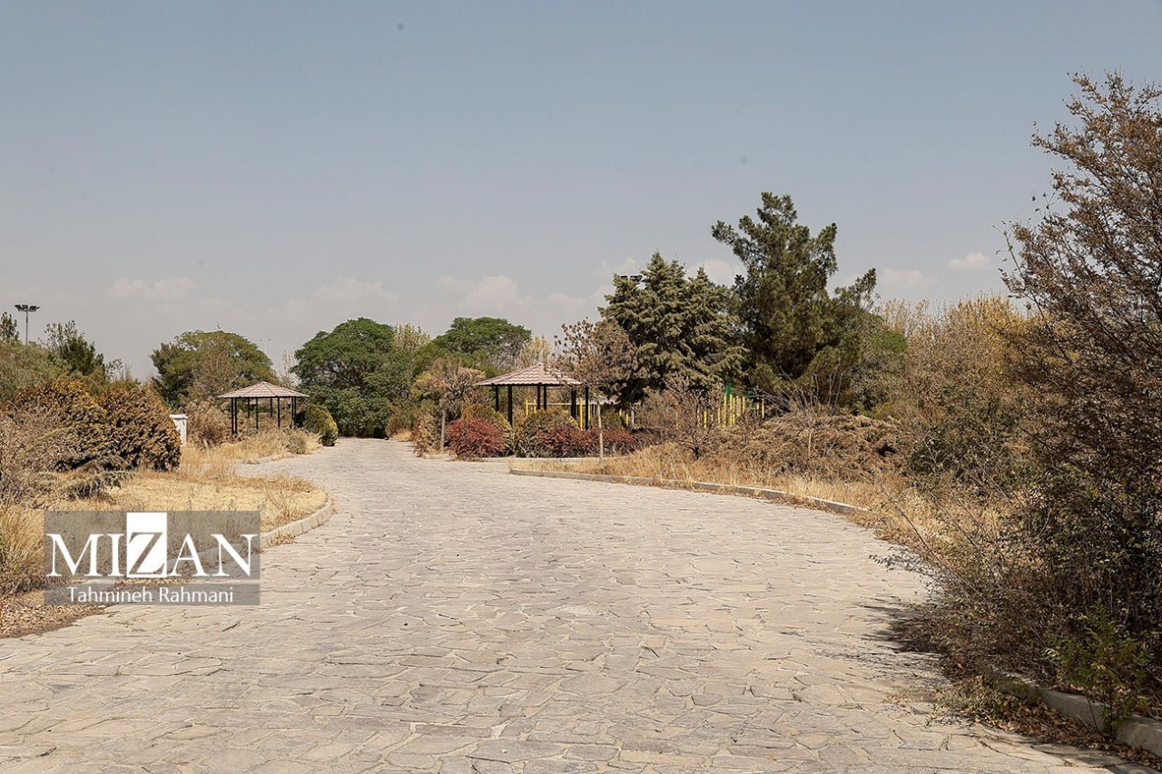 تصاویری از املاک توقیفشده در پرونده کینگمانی تصاویری از املاک توقیفشده در پرونده کینگمانی