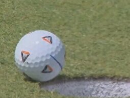 ویدئو | مگسی که گلف‌باز انگلیسی را پولدار کرد!