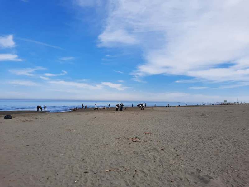 خطر ظهور یک منطقه بیابانی در شمال ایران خطر ظهور یک منطقه بیابانی در شمال ایران