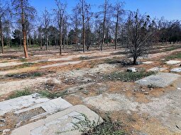 جزئیات تبدیل قبور منافقین در بهشت زهرا به پارکینگ