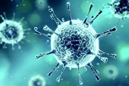 هشدار شیوع ۳ ویروس در ایران