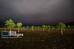 (تصاویر) دریاچه الندان در آستانه خشک شدن کامل