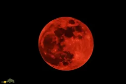 خسوف و ماه خونین امشب در آسمان ایران؛ ساعت دقیق ماه گرفتگی امشب یکشنبه 16 شهریور