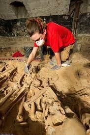 کشف ۳۱۷ اسکلت در فروشگاه؛ گنج بزرگ فراموش شده پیدا شد