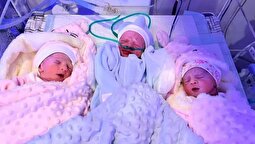 مادر ۴۰ ساله کاشانی صاحب سه قلو شد