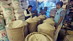 دردسر اروپا؛ بالاخره برنج باسماتی هندی است یا پاکستانی؟