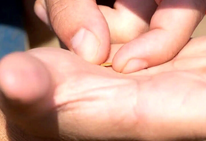 کشف سکه‌های باستانی در یک مکان غیرمنتظره! + عکس