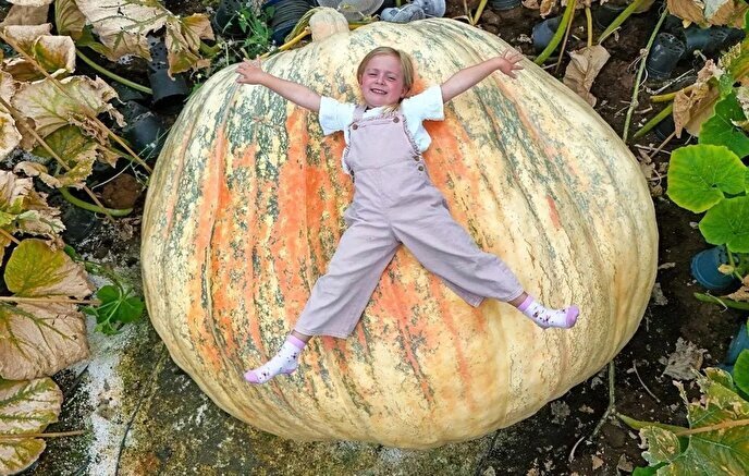 دوقلوهایی که بزرگترین کدو تنبل جهان را پرورش دادند + عکس دوقلوهایی که بزرگترین کدو تنبل جهان را پرورش دادند + عکس