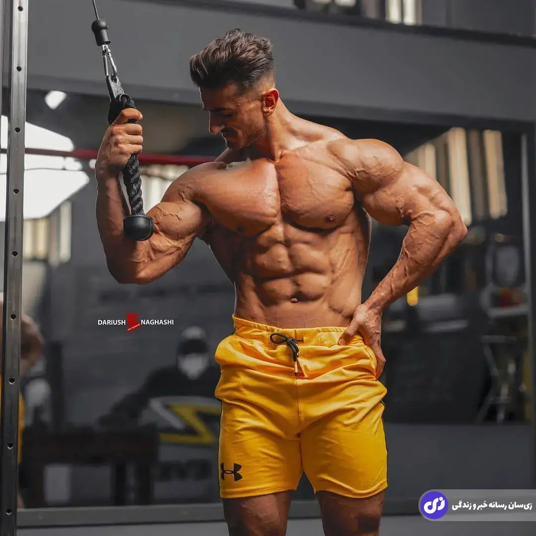 میثم اسکندری