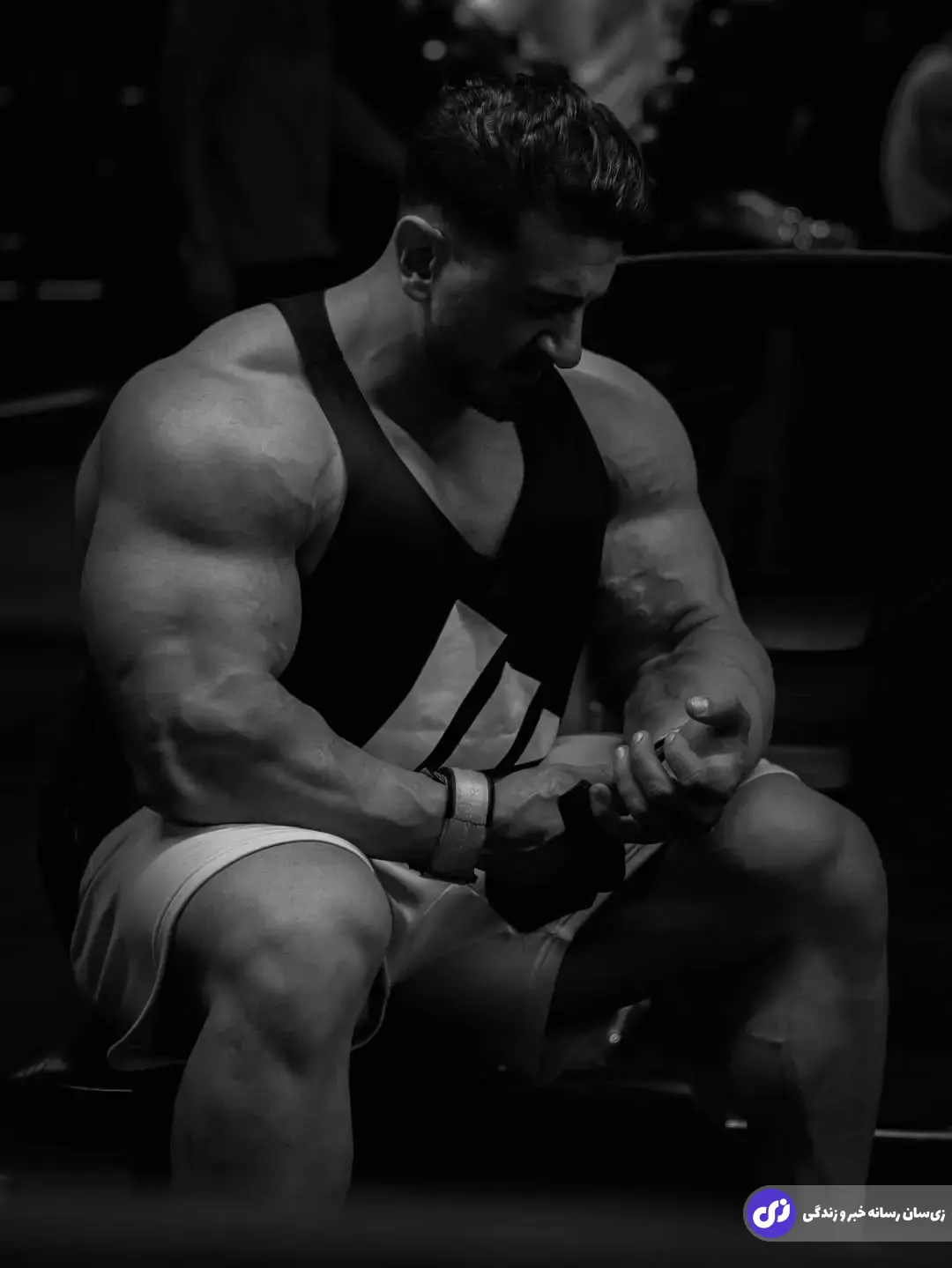 میثم اسکندری